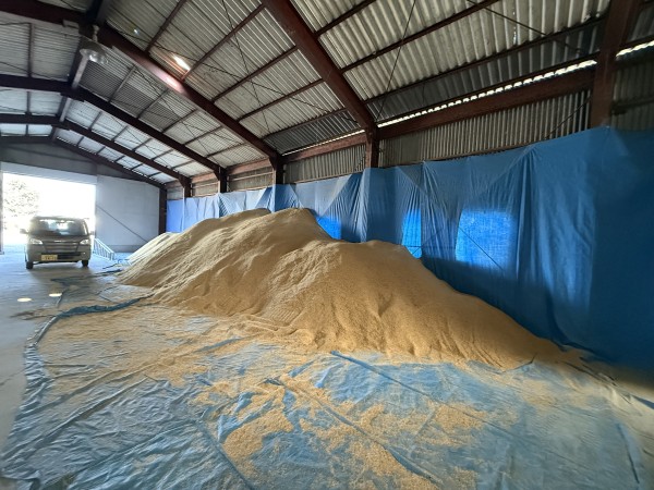 支援ポイント（観察・考察）